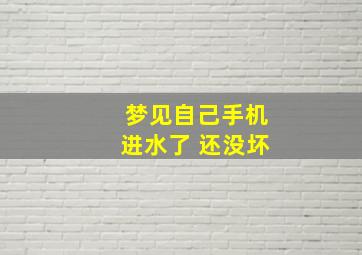 梦见自己手机进水了 还没坏